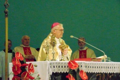DSC02244
