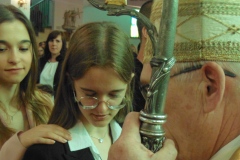 DSC02335
