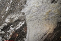 Photo18
