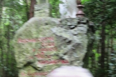 Photo19