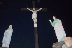 Photo229