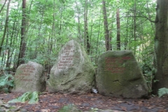 Photo26