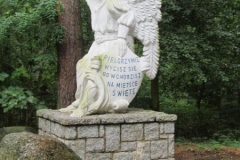 Photo5