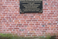 Photo8