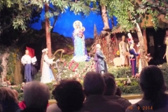 Photo14