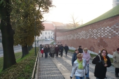 P1050726
